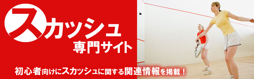 XJbV̐TCg